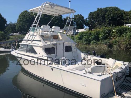 Bertram 28 Flybridge Cruiser scheda tecnica e recensioni